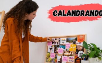 Calandrando Made Simple: Step-by-Step Guide to Organized Living