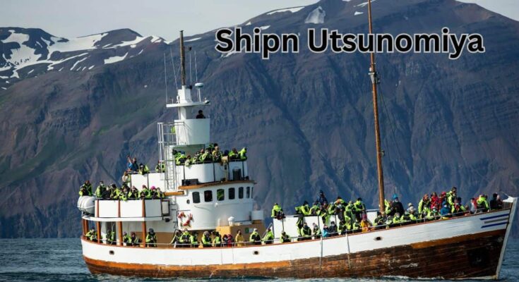 Shipn Utsunomiya