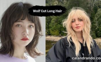 Wolf Cut Long Hair
