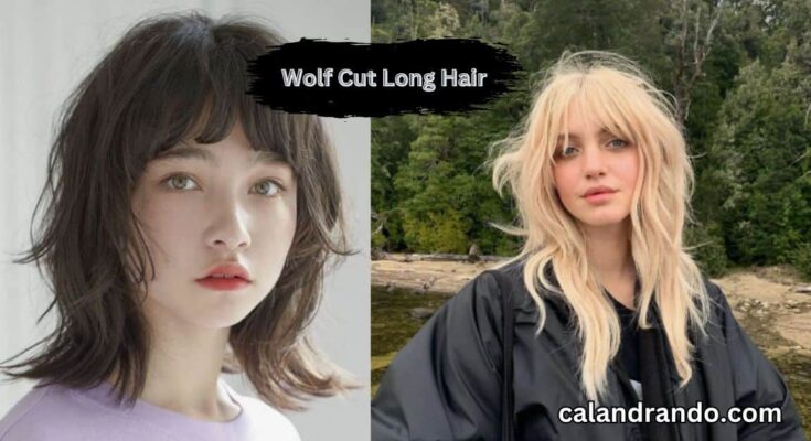 Wolf Cut Long Hair