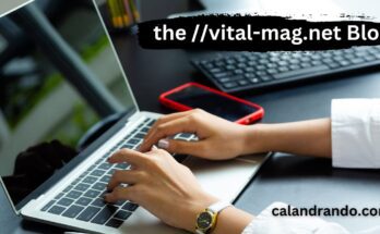 the //vital-mag.net Blog