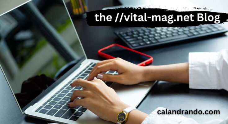 the //vital-mag.net Blog