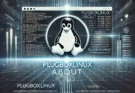 Plugboxlinux about