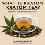 Kratom Tea