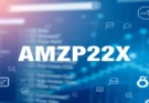 AMZP22X 