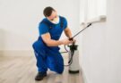 Pest Control Services in Your Home