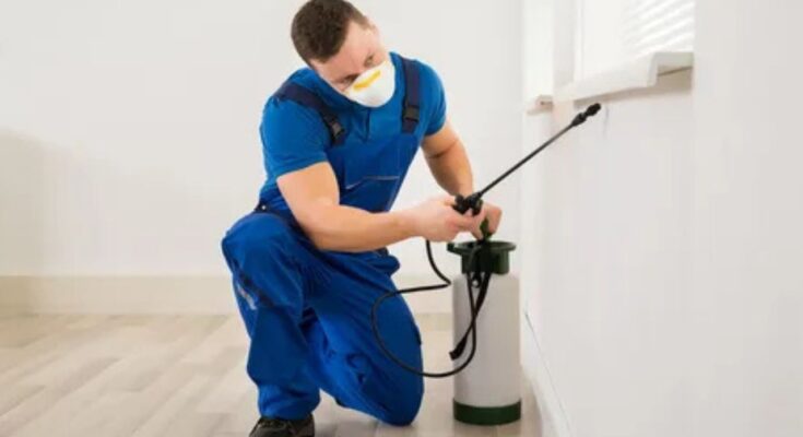 Pest Control Services in Your Home