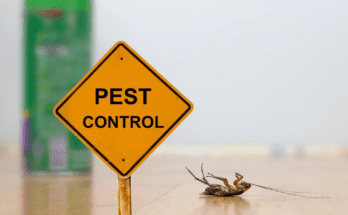 The Ultimate Guide to Exterminator Pest Control: What You Need to Know