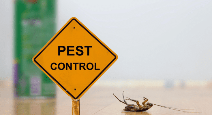 The Ultimate Guide to Exterminator Pest Control: What You Need to Know